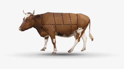 A A Cow Has 7 Parts - Transparent Background Cattle Png, Png Download, Transparent PNG