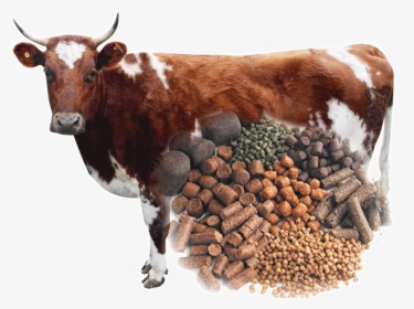 Cow Feed Png, Transparent Png, Transparent PNG