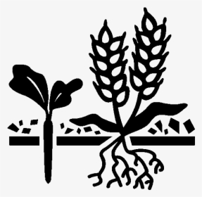 Cover Crops Icon - Cash Crops Black And White, HD Png Download, Transparent PNG