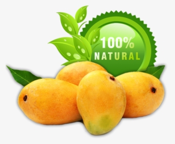 Mangoes - Png Alphonso Mango Transparent, Png Download, Transparent PNG