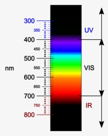 Closest Light Outside The Visible Spectrum, HD Png Download, Transparent PNG