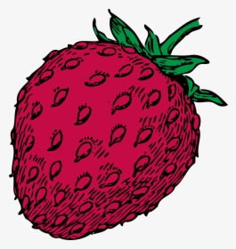 Color Clip Arts - Strawberry Clip Art, HD Png Download, Transparent PNG