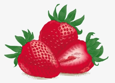 Single Strawberry Download Free Png - Burt's Bees, Inc., Transparent Png, Transparent PNG
