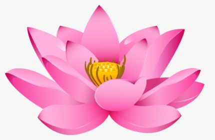 Lotus Flower Png - Lotus Png Hd, Transparent Png, Transparent PNG