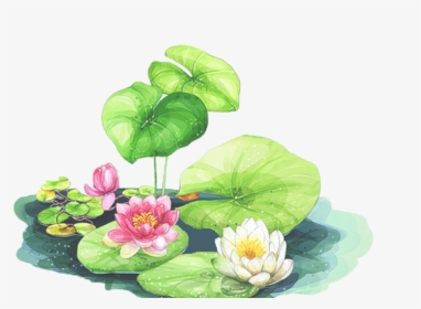 856 X 566 - Drawing For 3d Lotus, HD Png Download, Transparent PNG