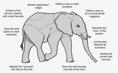 Software System Evolution - Indian Elephant, HD Png Download, Transparent PNG
