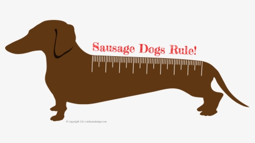 Dachshund Clipart Sausage Dog - Sausagedogs, HD Png Download, Transparent PNG