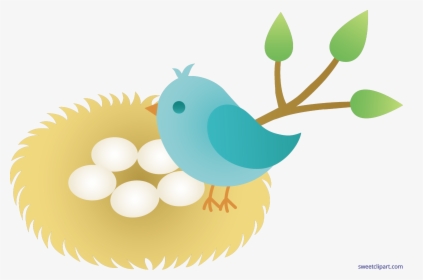 Unconditional Bird Cartoon With - Bird In Nest Clipart, HD Png Download, Transparent PNG