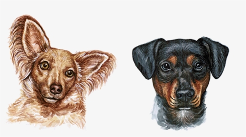 Dog Watercolor Painting - Cabeza De Perro Png, Transparent Png, Transparent PNG