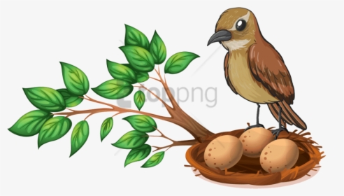 Free Png Download Bird Nest On Tree Png Images Background - Bird Nest In Tree Clipart, Transparent Png, Transparent PNG