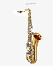 Tenor Saxophone, HD Png Download, Transparent PNG