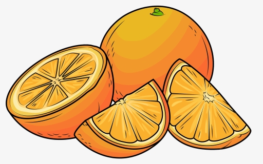 Oranges Vector, HD Png Download, Transparent PNG