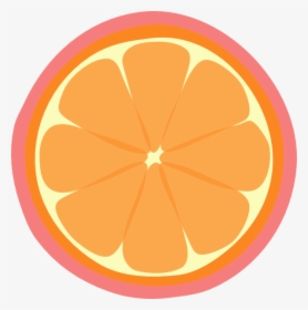 Vector Orange Wedge - Clip Art, HD Png Download, Transparent PNG