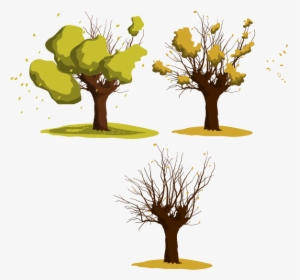 Wattles Tree Euclidean Vector - Euclidean Vector, HD Png Download, Transparent PNG