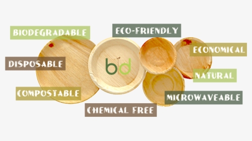 Pics-02 - Plywood, HD Png Download, Transparent PNG