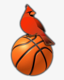 Ballon De Basket Ball Png, Transparent Png, Transparent PNG