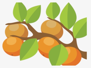 Orange Fruit Clipart Orange Tree - Transparent Orange Tree Clipart, HD Png Download, Transparent PNG