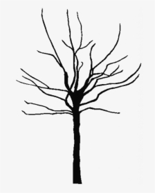 Leafless Tree Coloring Page - Tree Trunk Silhouette Png, Transparent Png, Transparent PNG