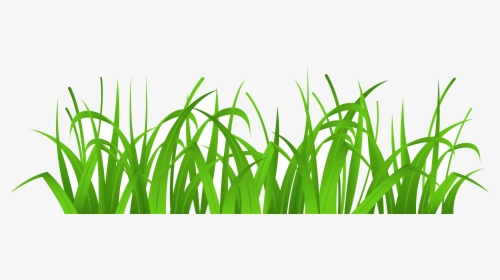 Grass Tallc Clipart Collection Transparent Png - Grass Clip Art, Png Download, Transparent PNG