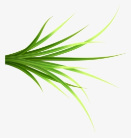 Grass Patch 14 Copy - Grass, HD Png Download, Transparent PNG