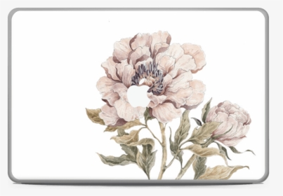 Peony Light Pink Skin Macbook Pro 17” - Common Peony, HD Png Download, Transparent PNG