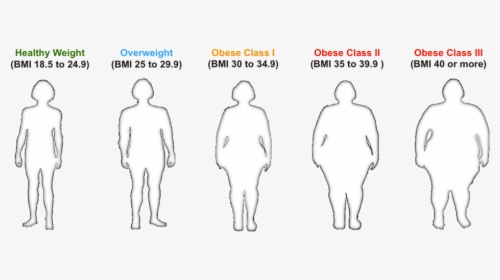 Bmi For Healthy To Obese Individuals - Body Mass Index, HD Png Download, Transparent PNG