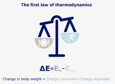 Obesity Thermodynamics - Graphic Design, HD Png Download, Transparent PNG