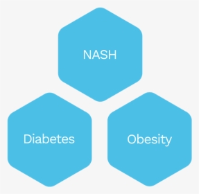 Nash Diabetes, HD Png Download, Transparent PNG