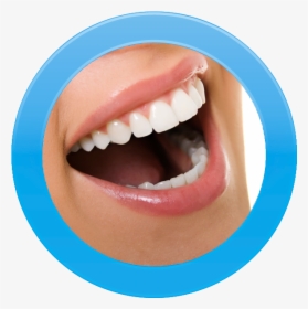 Iphone Side - Dentistry, HD Png Download, Transparent PNG