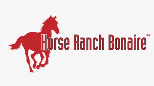 Horse Ranch Bonaire, HD Png Download, Transparent PNG