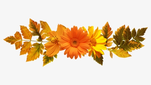 Floral Frame, HD Png Download, Transparent PNG