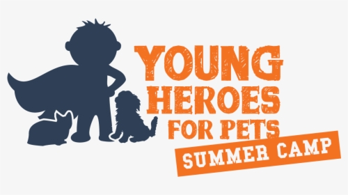 Young Heroes Summer Camp - Poster, HD Png Download, Transparent PNG