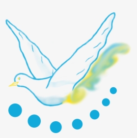 Seabird, HD Png Download, Transparent PNG