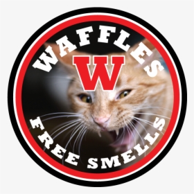 The Gallery For &gt Jimmy Johns Logo Png - Cat Grabs Treat, Transparent Png, Transparent PNG