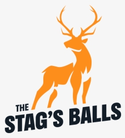 Stag Party Website - Elk, HD Png Download, Transparent PNG