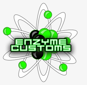 Enzyme Customs Logo, HD Png Download, Transparent PNG