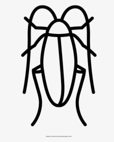 Cucaracha Página Para Colorear - Cucaracha Para Dibujar Facil, HD Png Download, Transparent PNG
