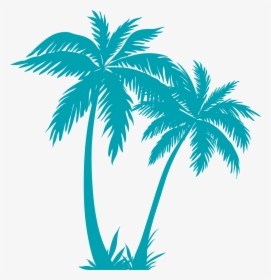 Transparent Palm Tree Plan Png - Palm Tree Vector Png, Png Download, Transparent PNG