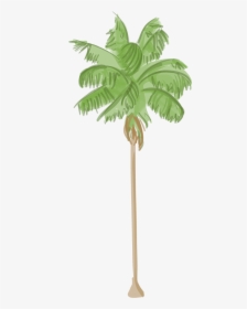 Canary Island Date Palm - Sabal Palmetto, HD Png Download, Transparent PNG