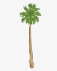 California Palm Trees Outline, HD Png Download, Transparent PNG