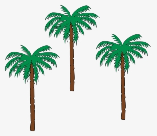Palm, Trees, Date Palm, Botany, Flora, Hot, Climate - Cartoon Date Palm Tree, HD Png Download, Transparent PNG