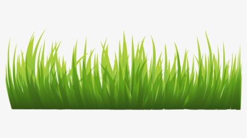 Grass Png Image, Green Grass Png Picture - Grass Png Background,  Transparent Png , Transparent Png Image - PNGitem
