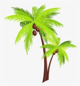 Page 70 Palm Tree Clip Art, Palm Tree Drawing, Beach - Transparent Background Coconut Tree Clipart, HD Png Download, Transparent PNG