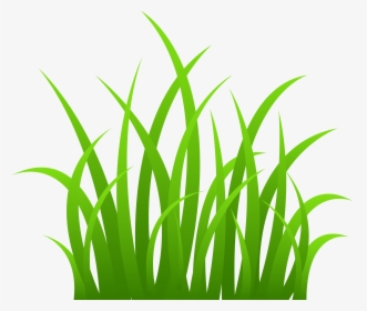 Grass Png Cartoon - Clipart Grass, Transparent Png, Transparent PNG