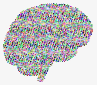 Brain, A, I, Ai, Anatomy, Artificial Intelligence - Brain Intelligence Transparent, HD Png Download, Transparent PNG