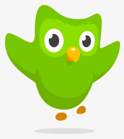 Duolingo Logo, Owl - Duolingo Owl Png, Transparent Png, Transparent PNG