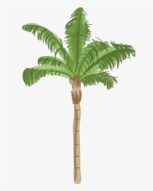 Queen Palm Tree Drawing, HD Png Download, Transparent PNG