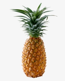 Pineapple Png Image, Free Download - Ananas Png, Transparent Png, Transparent PNG