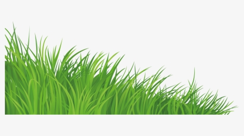 Lawn Clip Art - Grass Transparent Background Png Clipart, Png Download, Transparent PNG