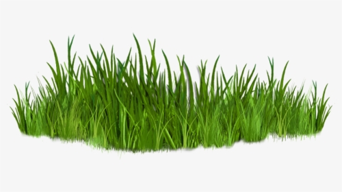 Clip Art Images Of Grasses 7 Png - Pathways To Recovery, Transparent Png, Transparent PNG